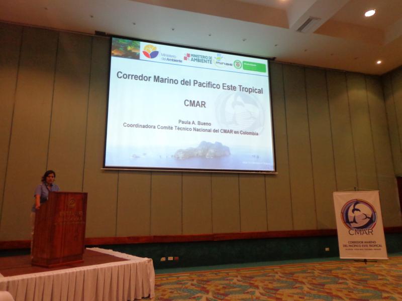 Fotografía de actividad realizadas por CMAR