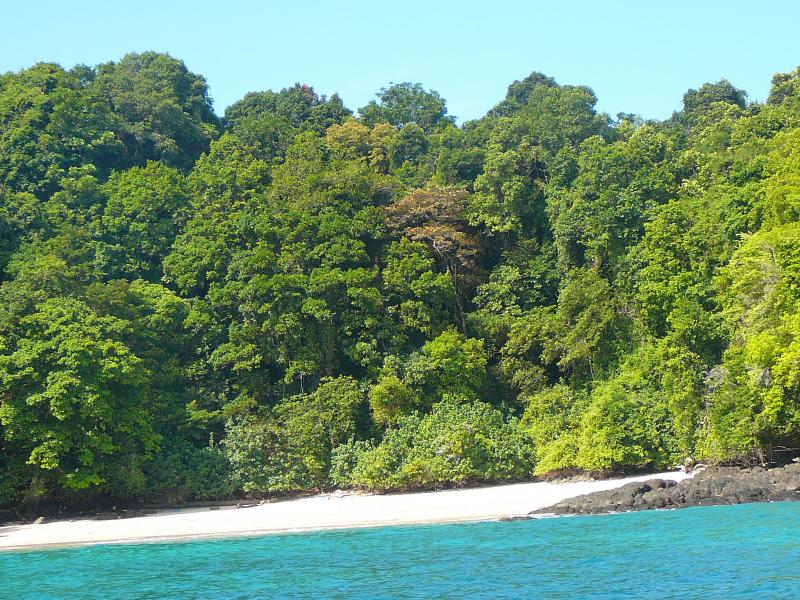 Fotografía tomada durante la Gira al Parque Nacional Coiba