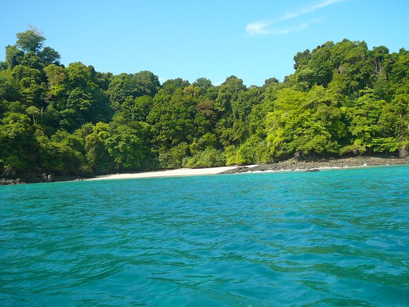 Fotografía tomada durante la Gira al Parque Nacional Coiba