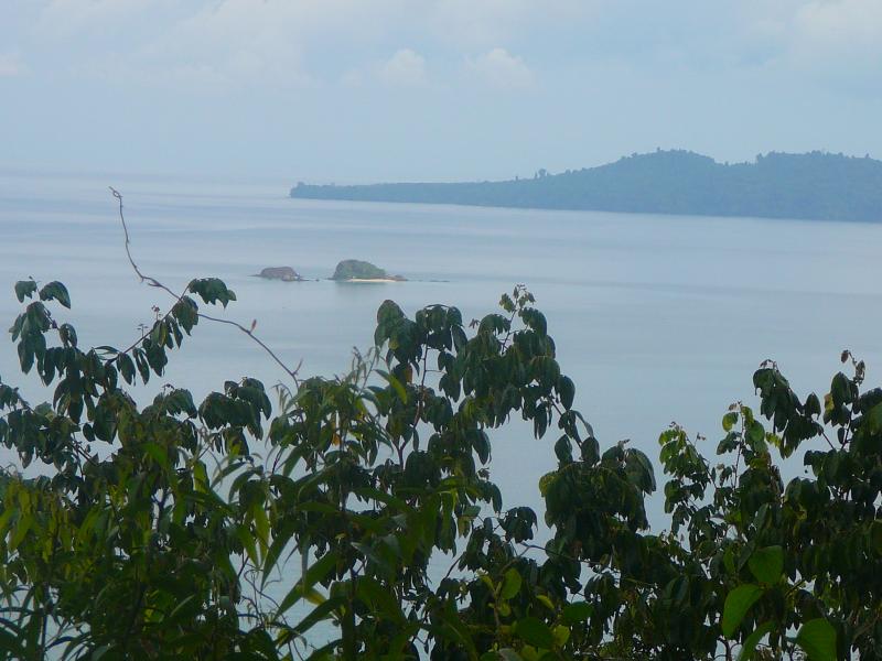 Fotografía tomada durante la Gira al Parque Nacional Coiba