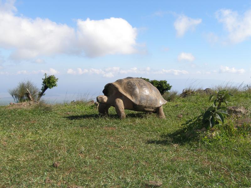 Fotografía de especies de fauna
