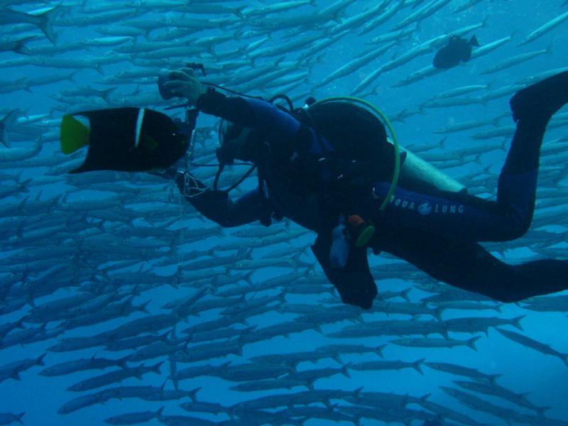 Fotografía de actividades de buceo