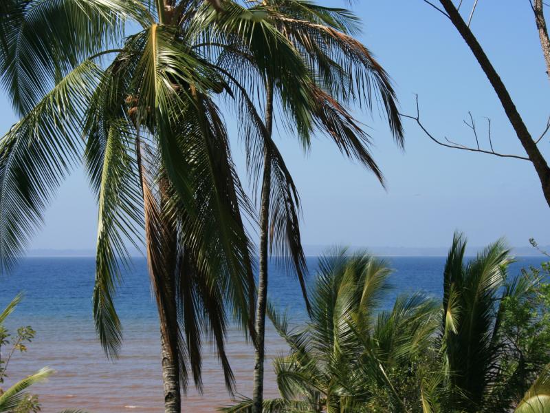 Fotografía tomada durante la Gira al Parque Nacional Coiba