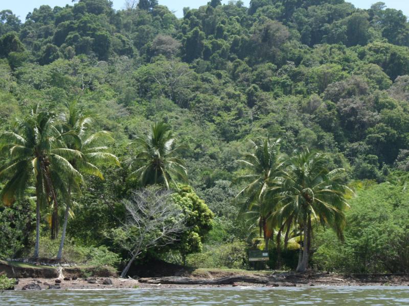 Fotografía tomada durante la Gira al Parque Nacional Coiba