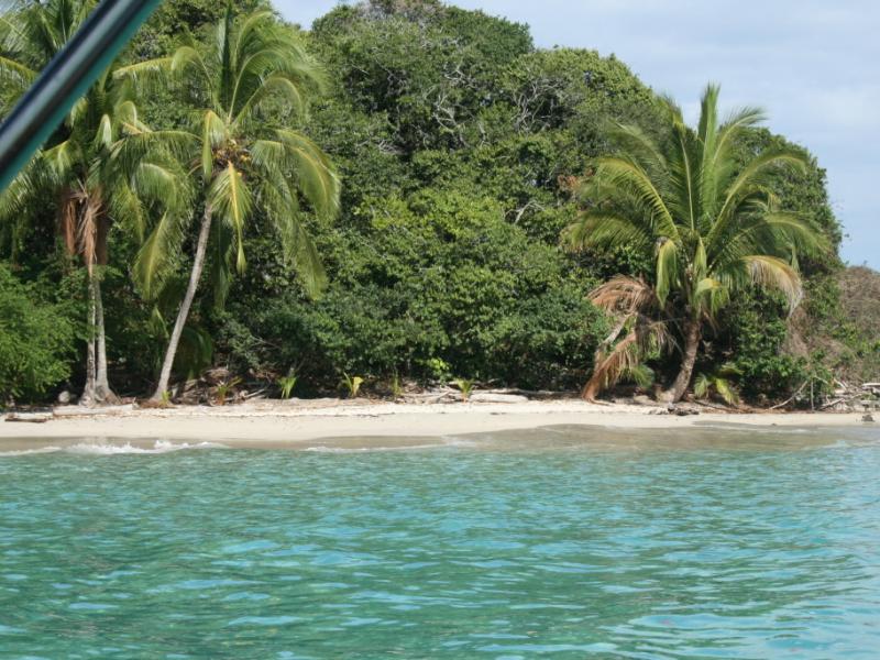 Fotografía tomada durante la Gira al Parque Nacional Coiba