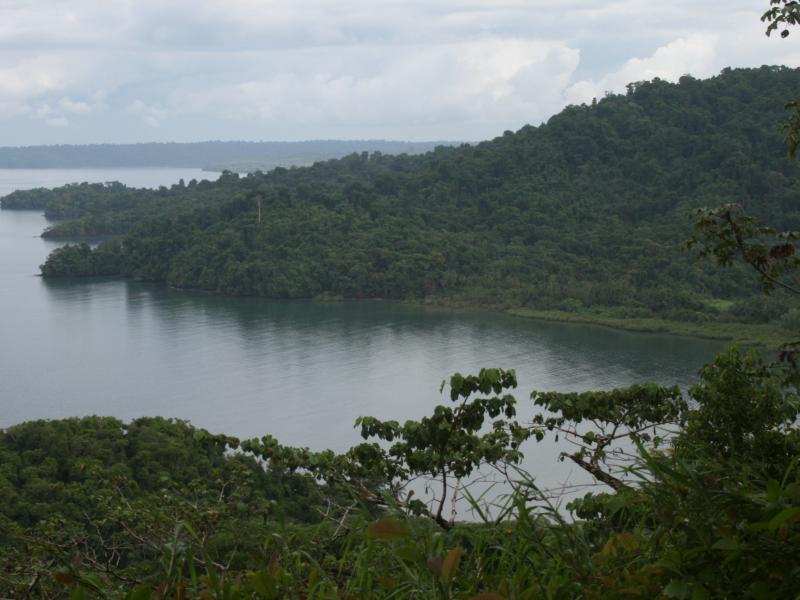Fotografía tomada durante la Gira al Parque Nacional Coiba