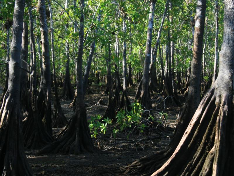 Fotografía tomada durante la Gira al Parque Nacional Coiba