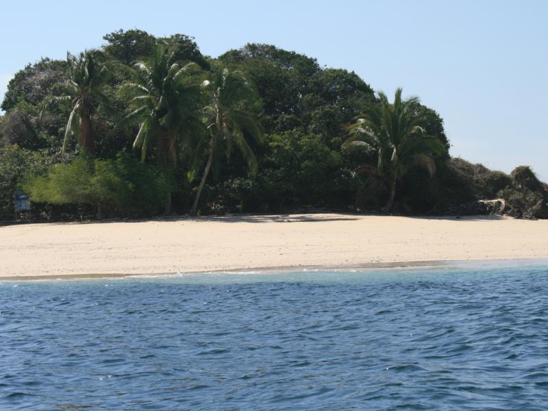 Fotografía tomada durante la Gira al Parque Nacional Coiba
